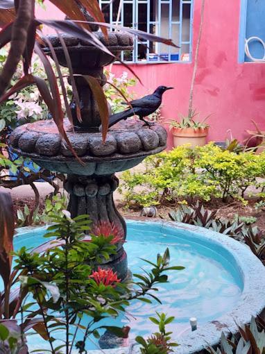 Estrella Beachfront Hotel San Juan del Sur Luaran gambar